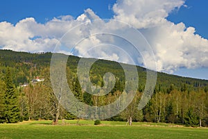 Trees, Spring landscape, PrÃ¡Å¡ily, Å umava, Czech Republic